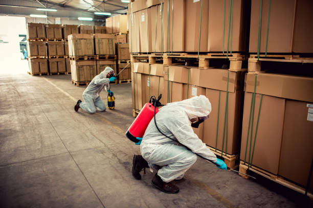 Best Pest Removal Services  in Manhattan, IL