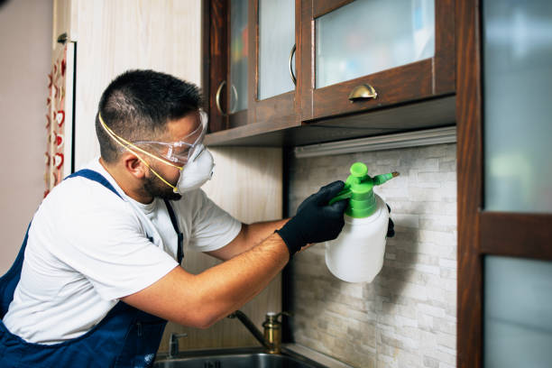 Best Pest Control Near Me in Manhattan, IL
