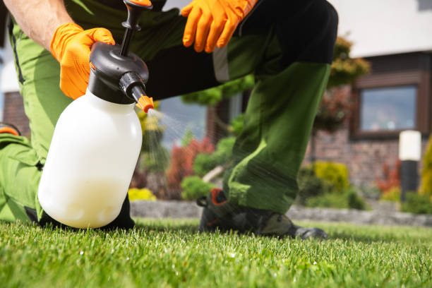 Best Best Pest Control Companies  in Manhattan, IL