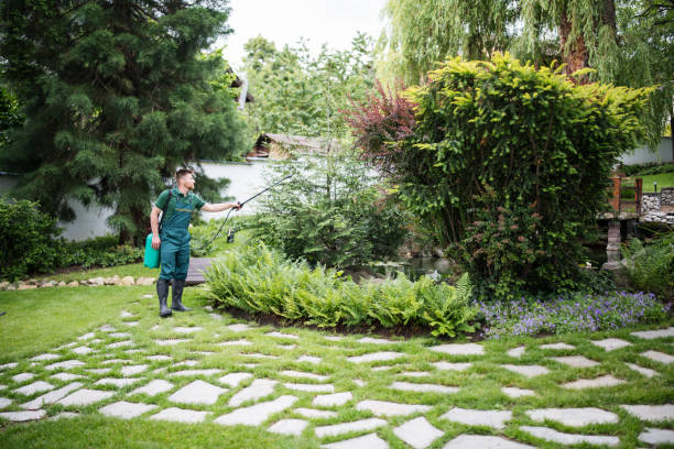 Best Insect Control  in Manhattan, IL