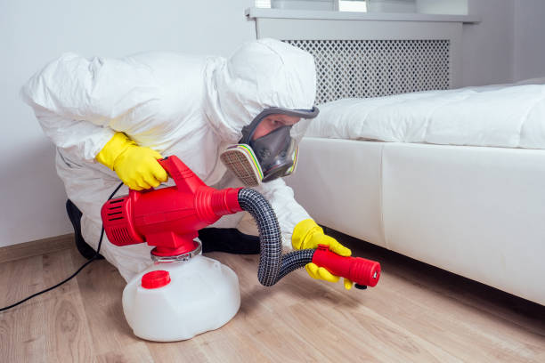 Best Residential Pest Control  in Manhattan, IL