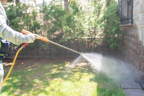Professional Pest Control in Manhattan, IL
