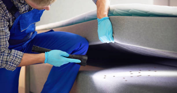 Pest Control Cost in Manhattan, IL