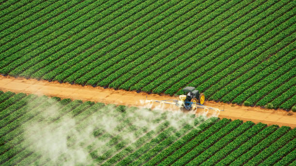 Best Ant Control Services  in Manhattan, IL