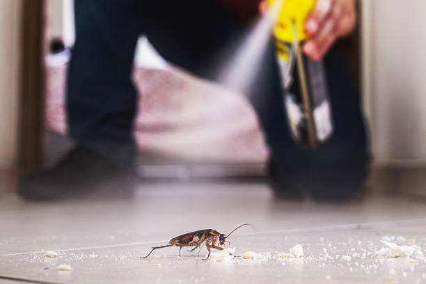 Best Rodent Control Near Me  in Manhattan, IL