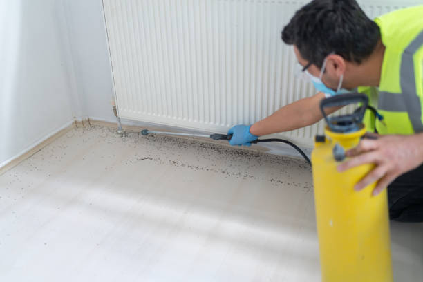 Best Residential Pest Control  in Manhattan, IL