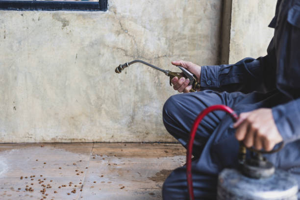 Best Termite Control Services  in Manhattan, IL