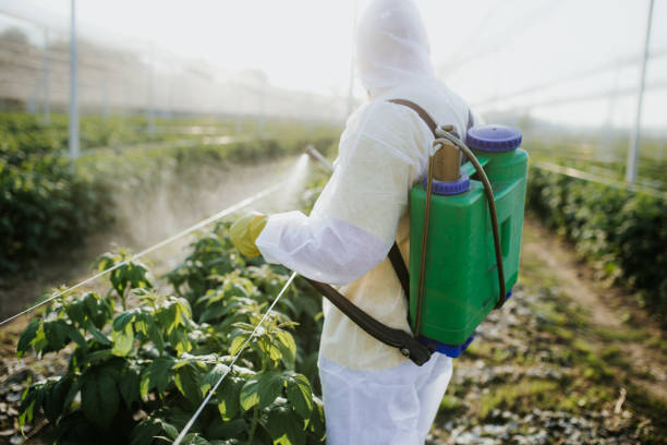 Wildlife Control Services in Manhattan, IL